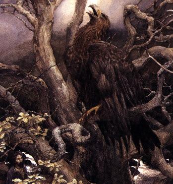 Lleu Transformed Into An Eagle