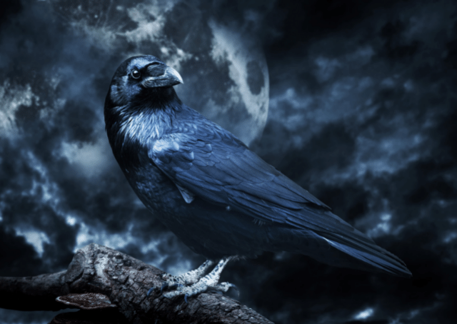 Battle crow form of Badb