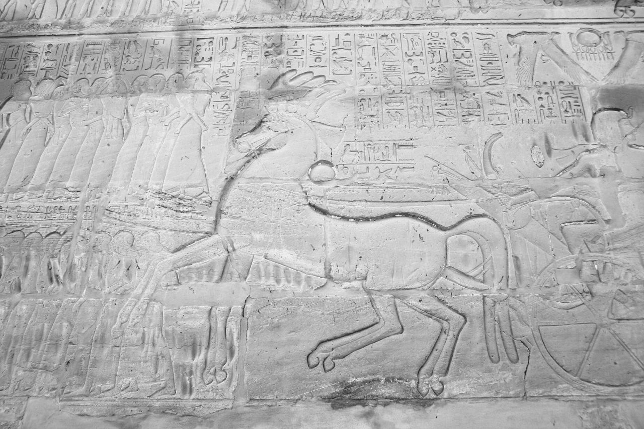 Ancient Egypt horses and chariots