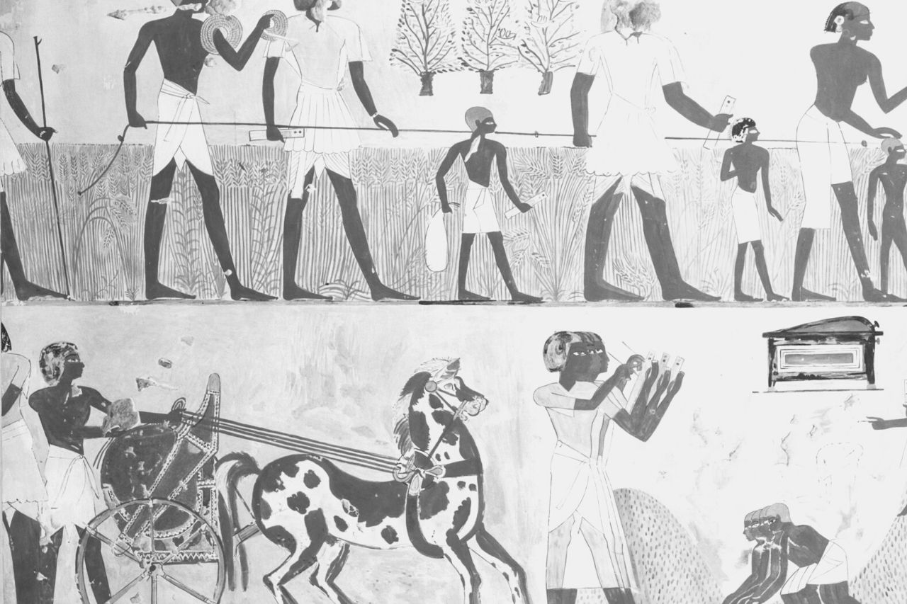 Ancient Egypt horses