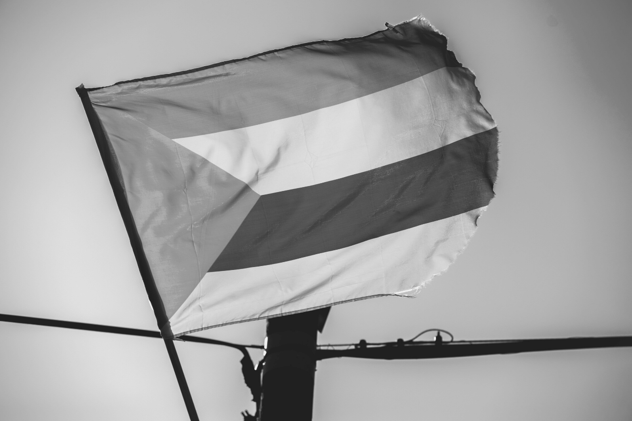 Druze flag