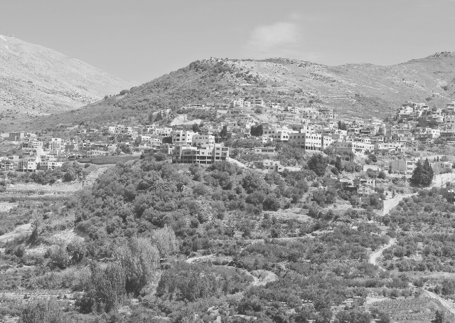 Druze town