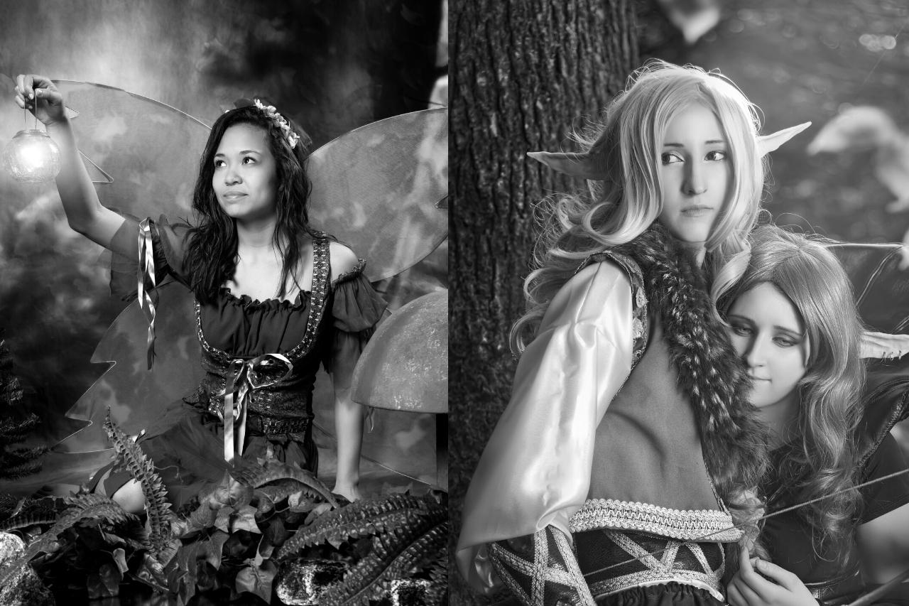 Elf vs fairy