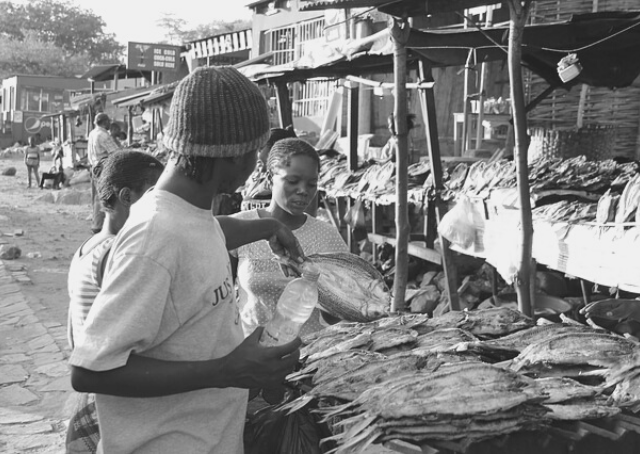 Fish market in Nouadhibou