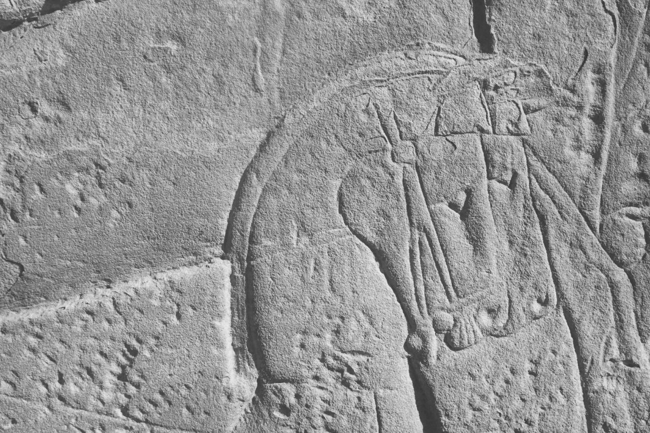 Horses in ancient Egypt