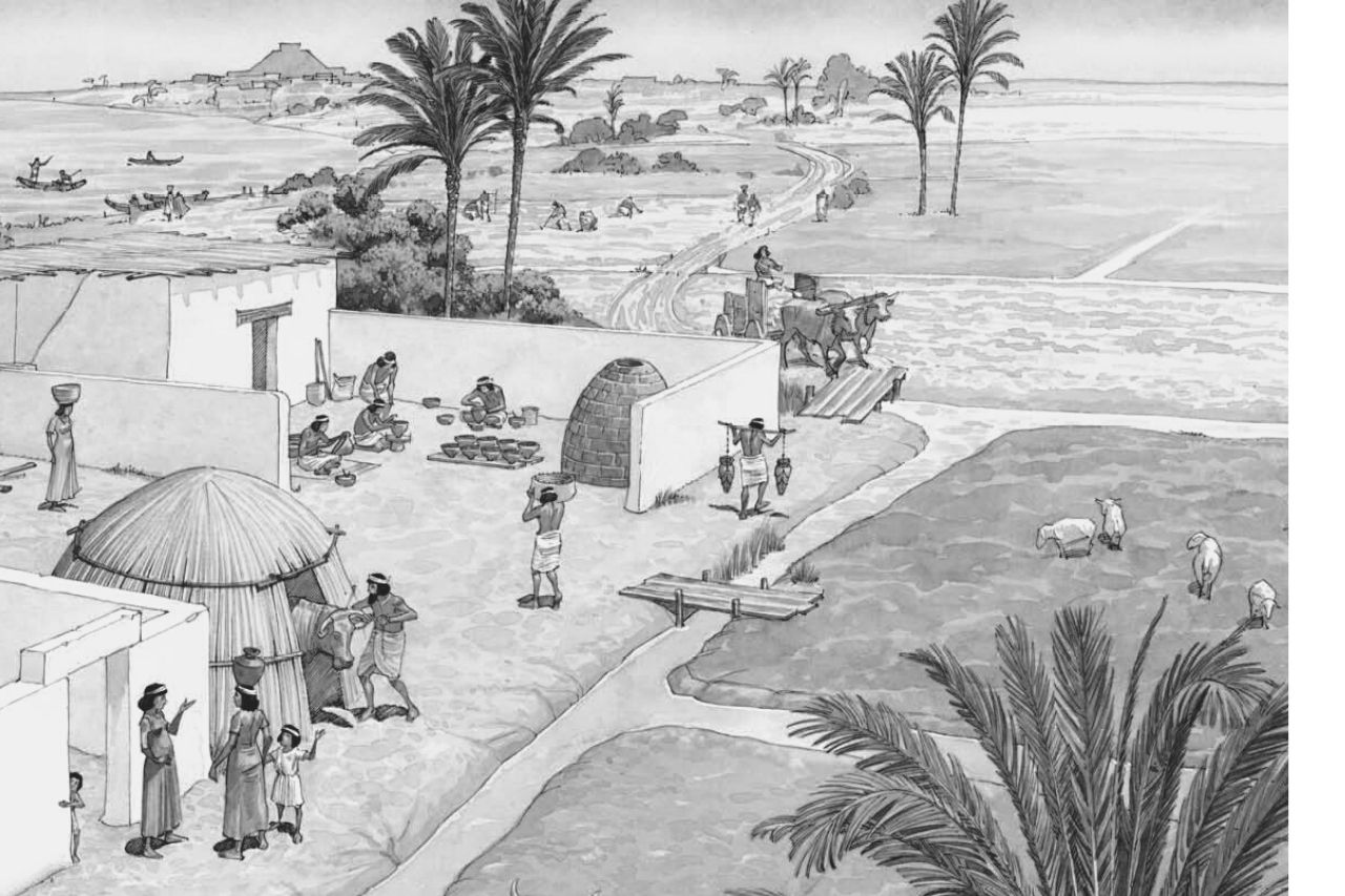 Mesopotamian agriculture