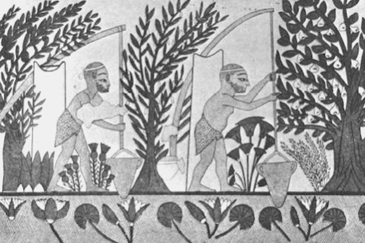 Mesopotamian man harvesting