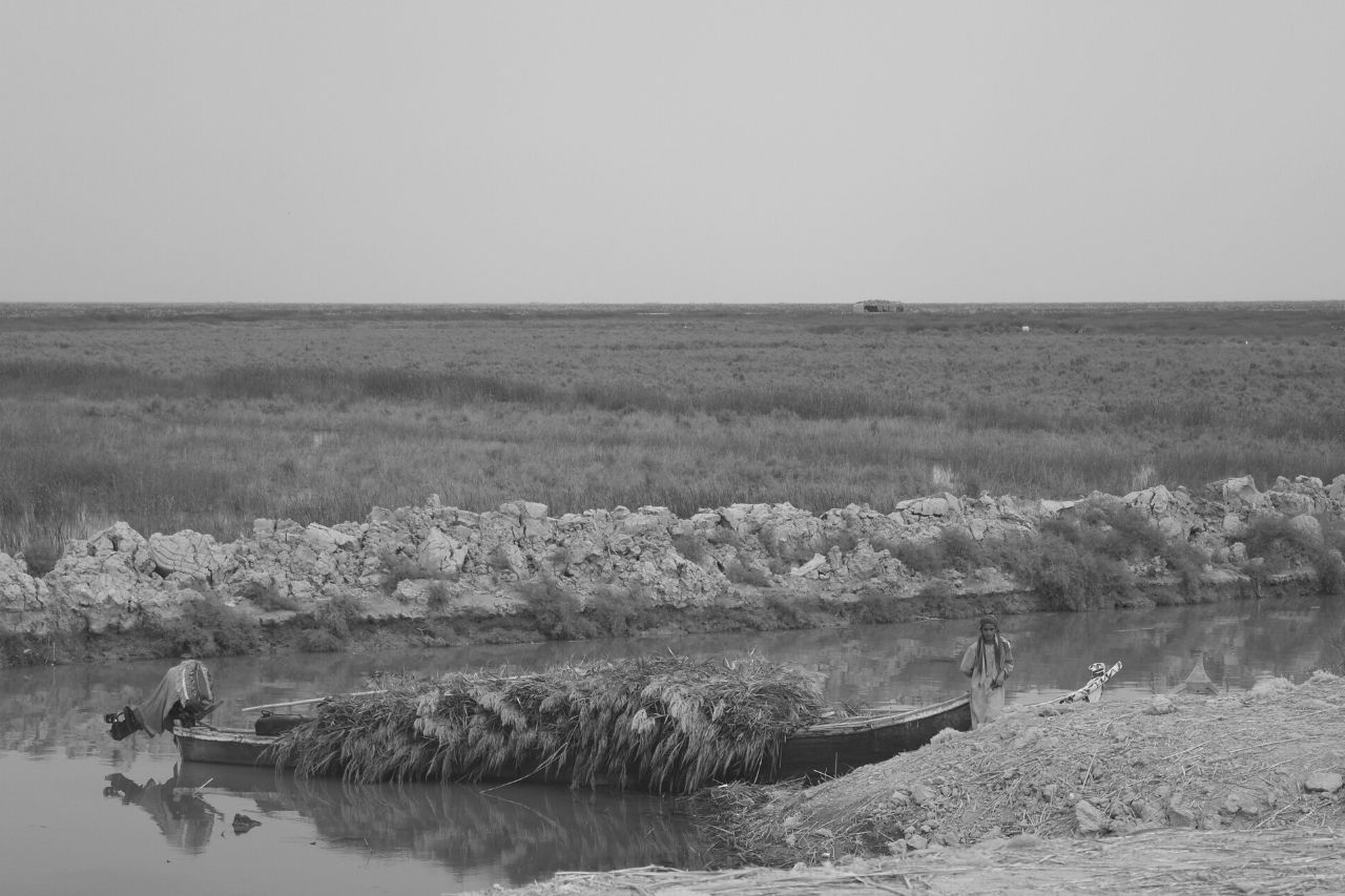 Mesopotamian marshes in Iraq