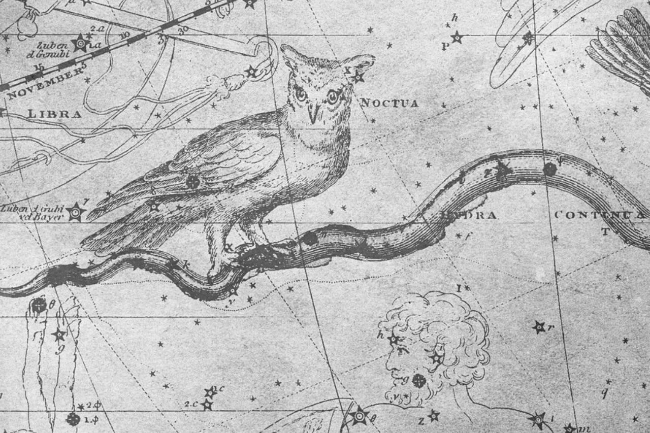 Owls in Norse mythology